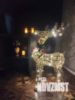 Дом 48м², 1-этажный, посуточно,