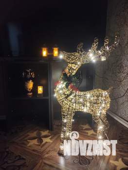 Дом 48м², 1-этажный, посуточно,