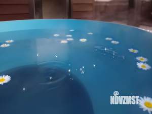 Дом 30м², 1-этажный, посуточно,