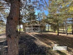 Дом 150м², 1-этажный, участок 12 сот.