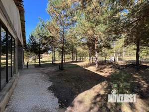 Дом 150м², 1-этажный, участок 12 сот.