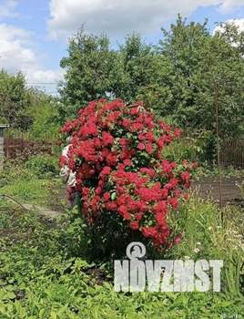 Дом 8м², 1-этажный, участок 4 сот.