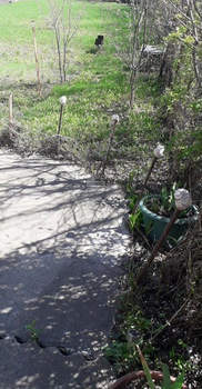 Дом 129м², 2-этажный, участок 7 сот.