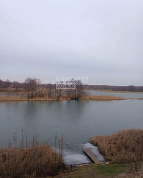 Дом 29м², 1-этажный, участок 5 сот.