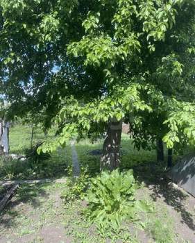 Дом 97м², 1-этажный, участок 7 сот.