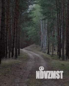 Дом 30м², 1-этажный, посуточно, 