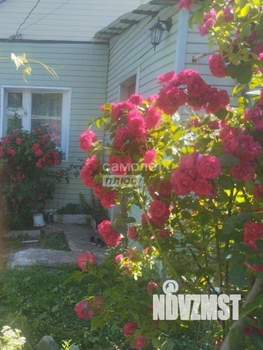 Дом 50м², 1-этажный, на длительный срок, 