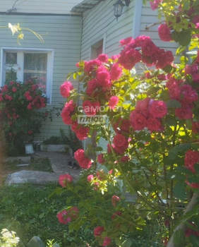 Дом 50м², 1-этажный, на длительный срок, 