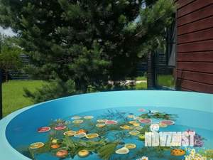 Дом 30м², 1-этажный, посуточно, 