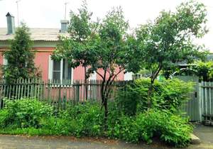 Дом 49м&sup2;, 2-этажный, участок 6 сот.  