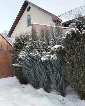 Дом 183м&sup2;, 2-этажный, участок 16 сот.  