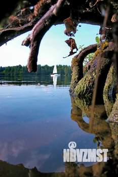 Дом 50м&sup2;, 1-этажный, участок 6 сот.  