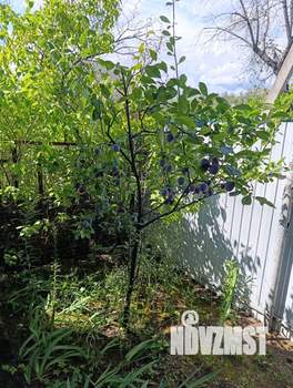 Дом 55м², 1-этажный, участок 4 сот.  