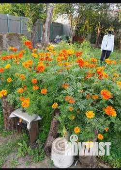 Дача 40м&sup2;, 2-этажный, участок 5 сот.  