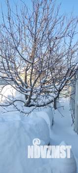 Дом 48м&sup2;, 1-этажный, участок 5 сот.  