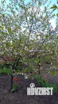 Дом 80м&sup2;, 2-этажный, участок 7 сот.  