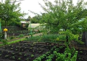 Дом 49м&sup2;, 2-этажный, участок 6 сот.  