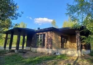 Дом 151м², 1-этажный, участок 12 сот.  