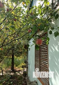 Дом 38м&sup2;, 1-этажный, участок 8 сот.  