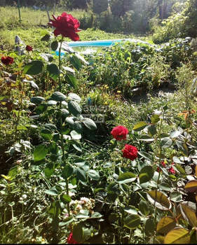 Дом 30м&sup2;, 2-этажный, участок 8 сот.  