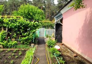 Дом 49м&sup2;, 2-этажный, участок 6 сот.  