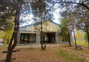 Дом 150м², 1-этажный, участок 12 сот.  