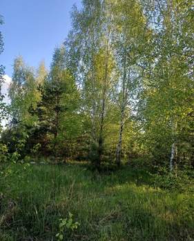 Дом 151м², 1-этажный, участок 12 сот.  