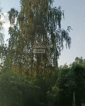 Дом 42м&sup2;, 1-этажный, участок 10 сот.  