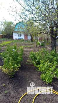 Дом 80м², 2-этажный, участок 7 сот.  