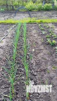 Дом 80м&sup2;, 2-этажный, участок 7 сот.  