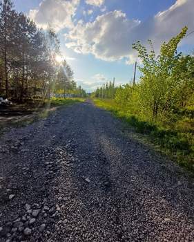 Дом 151м², 1-этажный, участок 12 сот.  