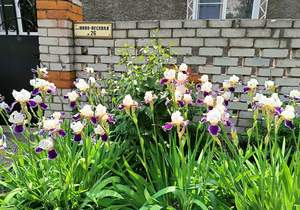 Дом 149м², 1-этажный, участок 14 сот.  