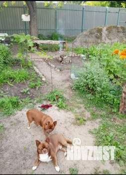 Дача 40м&sup2;, 2-этажный, участок 5 сот.  