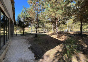 Дом 150м², 1-этажный, участок 12 сот.  