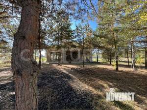 Дом 150м², 1-этажный, участок 12 сот.  