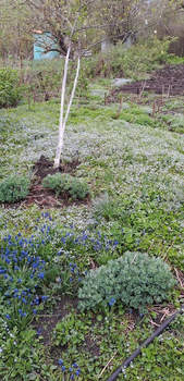 Дом 20м&sup2;, 1-этажный, участок 4 сот.  