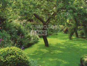 Дом 46м&sup2;, 2-этажный, участок 5 сот.  