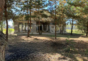 Дом 150м², 1-этажный, участок 12 сот.  