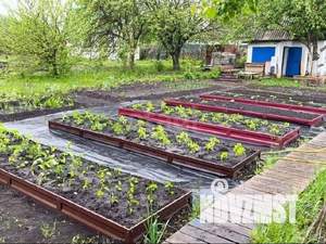 Дача 15м&sup2;, 1-этажный, участок 6 сот.  