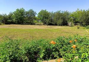 Дом 149м², 1-этажный, участок 14 сот.  