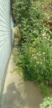 Дом 75м&sup2;, 1-этажный, участок 7 сот.  