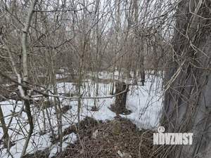 Дом 55м&sup2;, 1-этажный, участок 5 сот.  