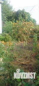 Дом 75м&sup2;, 1-этажный, участок 7 сот.  