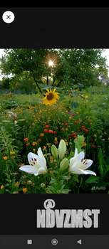 Дом 50м&sup2;, 1-этажный, участок 6 сот.  