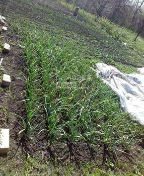 Дом 30м&sup2;, 2-этажный, участок 8 сот.  