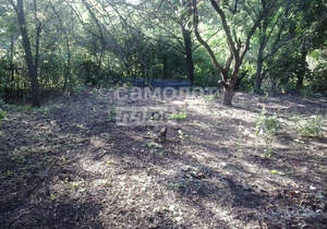 Дом 46м&sup2;, 2-этажный, участок 5 сот.  