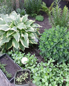 Дом 73м&sup2;, 1-этажный, участок 4 сот.  