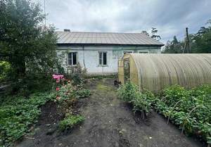 Дом 102м&sup2;, 1-этажный, участок 10 сот.  