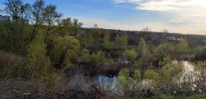 Дом 19м&sup2;, 1-этажный, участок 5 сот.  