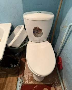 Дом 95м&sup2;, 1-этажный, участок 12 сот.  